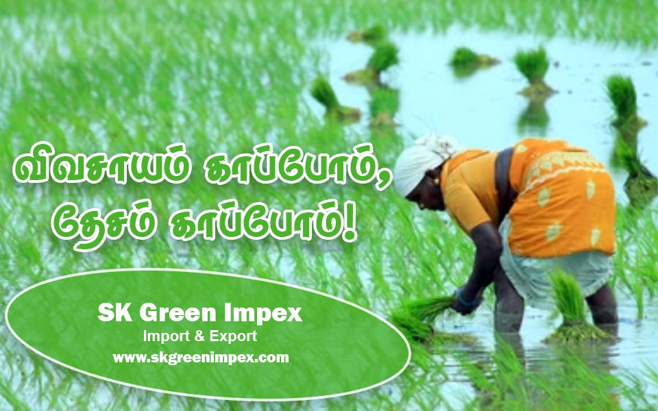 SK Green Impex - Organic Food Products Exporter in Chennai
