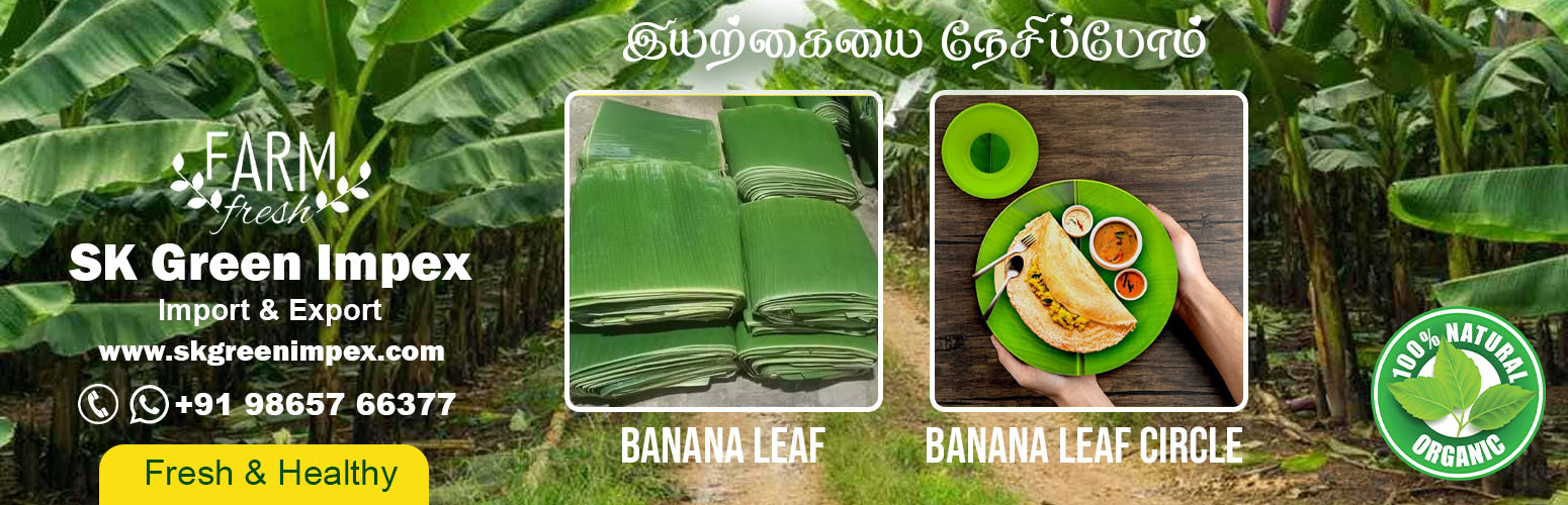 SK Green Impex - Organic Food Products Exporter in Chennai