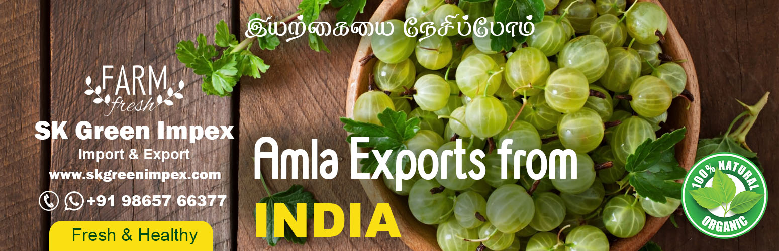 SK Green Impex - Organic Food Products Exporter in Chennai