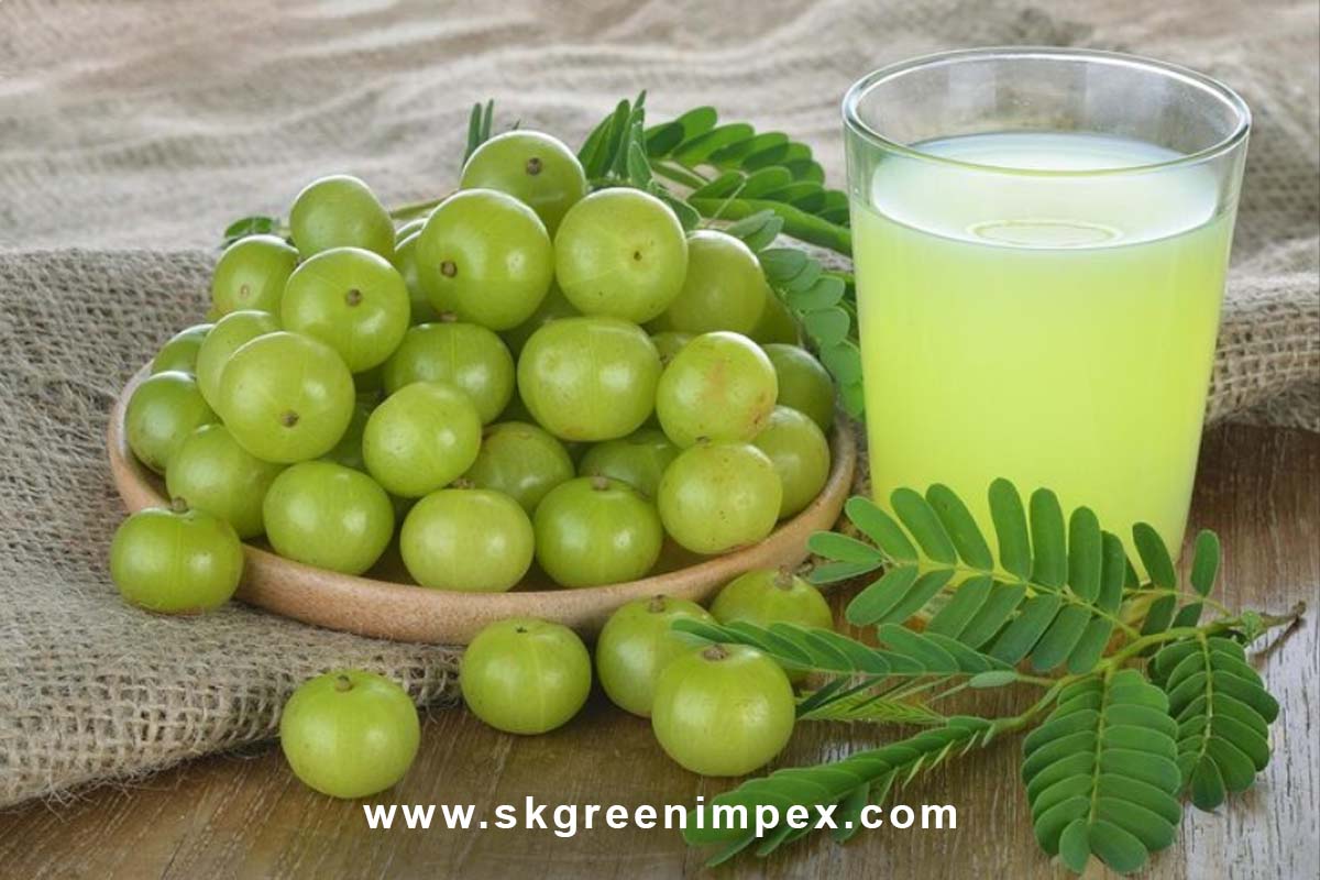 SK Green Impex - Organic Food Products Exporter in Chennai
