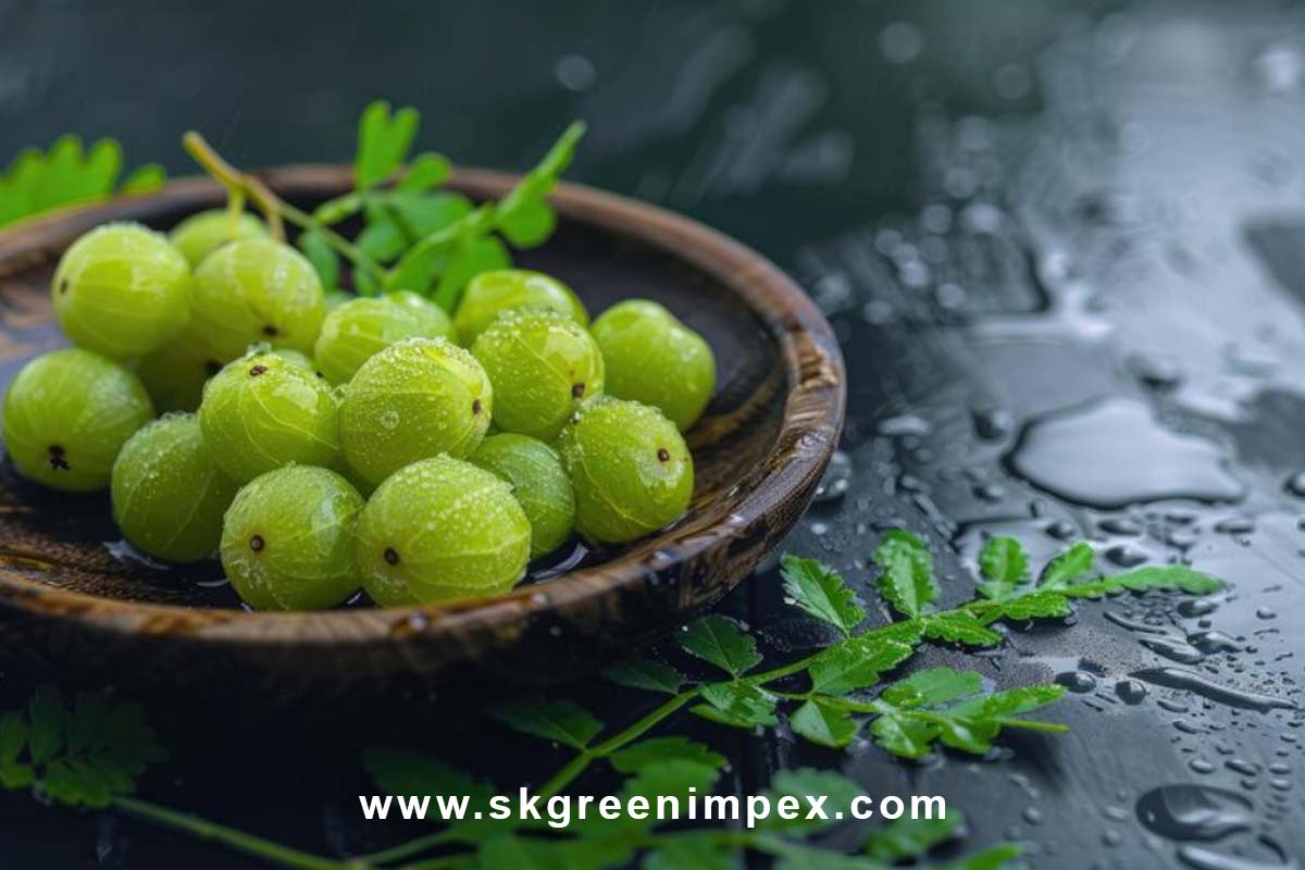 SK Green Impex - Organic Food Products Exporter in Chennai