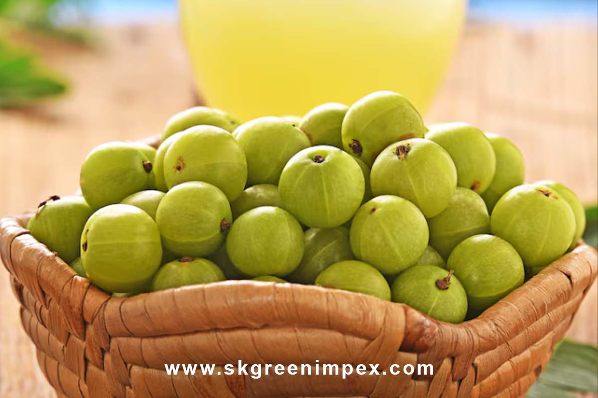 SK Green Impex - Organic Food Products Exporter in Chennai
