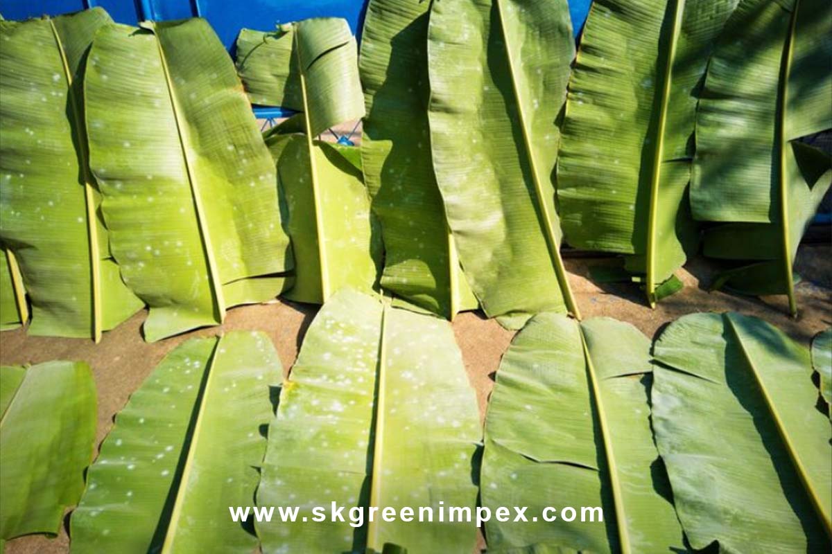 SK Green Impex - Organic Food Products Exporter in Chennai