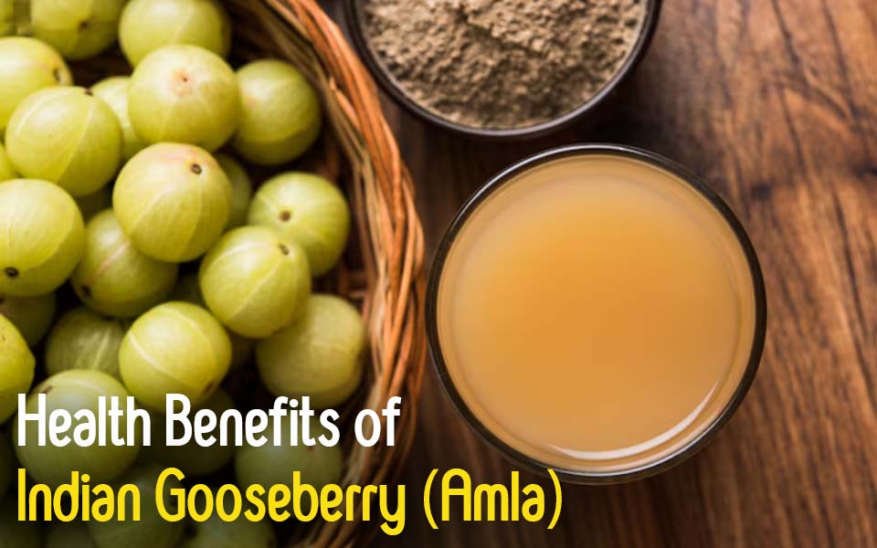 SK Green Impex - Organic Food Products Exporter in Chennai