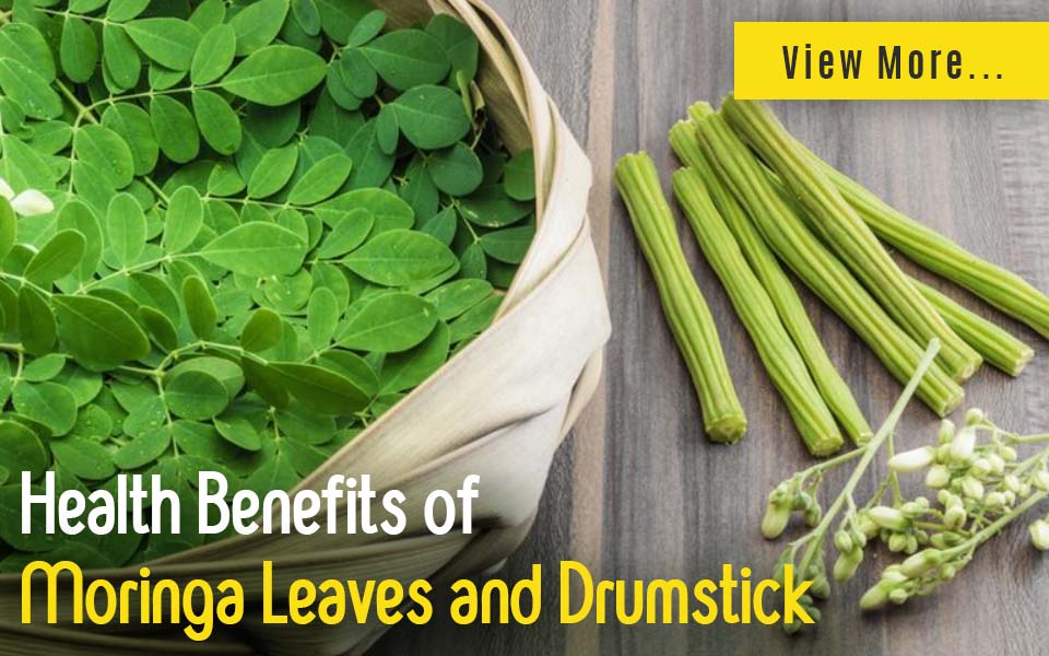 SK Green Impex - Organic Food Products Exporter in Chennai