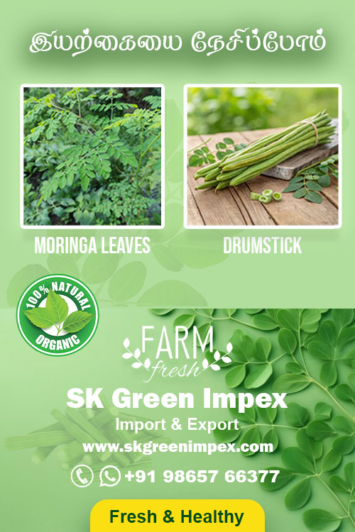 SK Green Impex - Organic Food Products Exporter in Chennai
