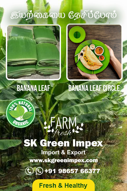 SK Green Impex - Organic Food Products Exporter in Chennai