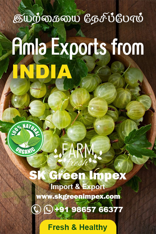 SK Green Impex - Organic Food Products Exporter in Chennai